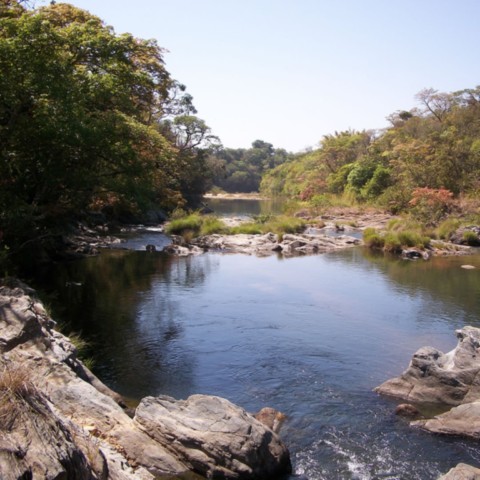 O Rio São Francisco O Rio São Francisco