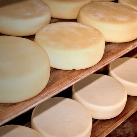 Roteiro nas melhores Fazendas de Queijo Canastra da Região Roteiro nas melhores Fazendas de Queijo Canastra da Região