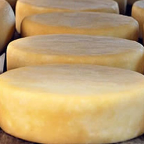 O Queijo Canastra, famoso e premiado O Queijo Canastra, famoso e premiado