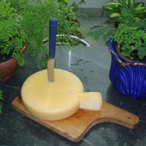 O Queijo Canastra, famoso e premiado O Queijo Canastra, famoso e premiado